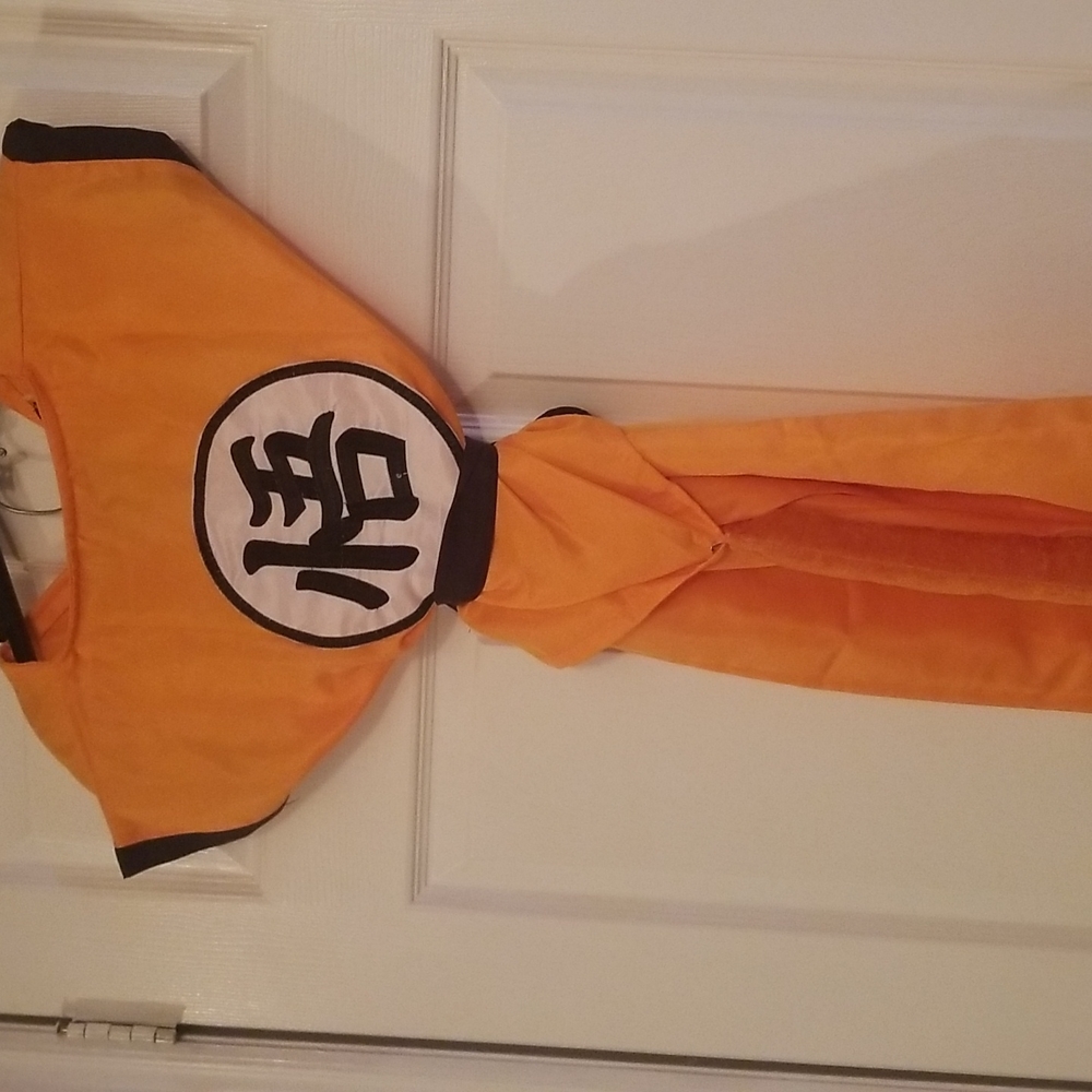 Dragon Ball Z Costume